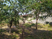 Satılır 6 sot torpaq Quba