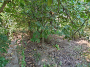 Satılır 3 otaqlı 60 m2 həyət evi Sabirabad