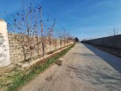 Satılır 200 sot torpaq Binə