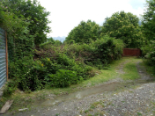 Satılır 10 sot torpaq Qəbələ