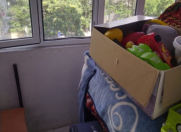 İcarəyə verilir 3 otaqlı 80 m2 həyət evi Təhsil Nazirliyi