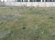 Satılır 9 sot torpaq Badamdar