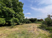 Satılır 50 sot torpaq Məhəmmədli