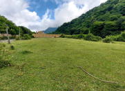 Satılır 23 sot torpaq Qəbələ