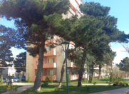 Satılır 2 otaqlı 75 m2 köhnə tikili Həzi Aslanov