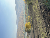 Satılır 92 sot torpaq Quba