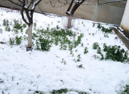 Satılır 3 sot torpaq Xaçmaz