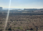 Satılır 31 sot torpaq Saray