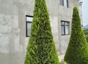 Satılır 6 otaqlı 432 m2 həyət evi Fatmayı