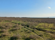 Satılır 106 sot torpaq Binəqədi r.