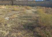 Satılır 31 sot torpaq Saray