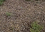 Satılır 3 sot torpaq Hökməli