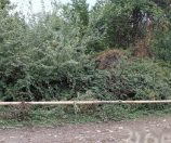 Satılır 4 sot torpaq Naxçıvan