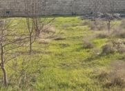 Satılır 6 sot torpaq Fatmayı