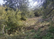 Satılır 12 sot torpaq Şamaxı