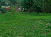 Satılır 36 sot torpaq Qusar