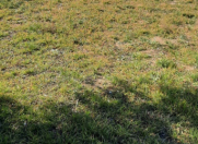 Satılır 10 sot torpaq Koroğlu m.