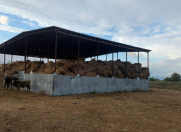 Satılır 10000 sot torpaq Sabirabad