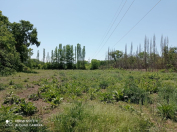 Satılır 57 sot torpaq Xudat