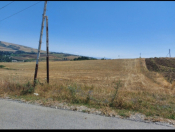 Satılır 244 sot torpaq Şamaxı