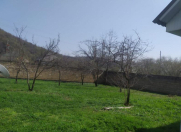 Satılır 6 sot torpaq Qəbələ