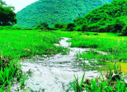 Satılır 5 sot torpaq Oğuz