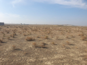 Satılır 200 sot torpaq Masazır