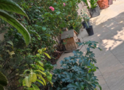 Satılır 2 otaqlı 80 m2 həyət evi Sabunçu