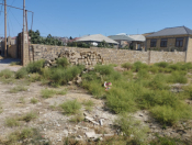 Satılır 8 sot torpaq Xırdalan