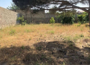 Satılır 12 sot torpaq Mərdəkan