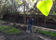 Satılır 3 otaqlı 145 m2 həyət evi Salyan