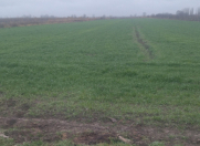 Satılır 61 sot torpaq Xaçmaz