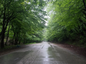 Satılır 7 otaqlı 220 m2 bağ evi İsmayıllı