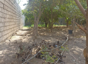 Satılır 4 sot torpaq Buzovna