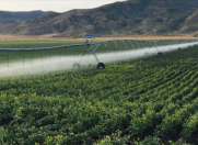 Satılır 23000 sot torpaq İsmayıllı