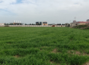 Satılır 102 sot torpaq Quba