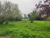 Satılır 6 sot torpaq Lənkəran