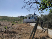 Satılır 50 sot torpaq Şamaxı