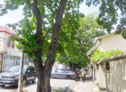 Satılır 4 otaqlı 100 m2 həyət evi Biləcəri