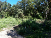 Satılır 100 sot torpaq Xaçmaz