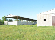 Satılır 3 sot torpaq Salyan