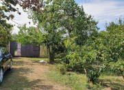 Satılır 5 sot torpaq Qəbələ