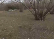 Satılır 20 sot torpaq Balakən