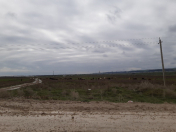 Satılır 10000 sot torpaq Şabran