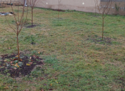 Satılır 3 otaqlı 95 m2 həyət evi İsmayıllı