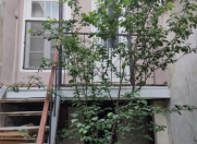 Satılır 7 otaqlı 200 m2 həyət evi Zabrat 2