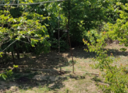 Satılır 10 sot torpaq Saray