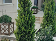 Satılır 6 otaqlı 300 m2 bağ evi Şüvəlan