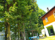 İcarəyə verilir 4 otaqlı 130 m2 həyət evi Lənkəran