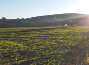 Satılır 12 sot torpaq Şamaxı